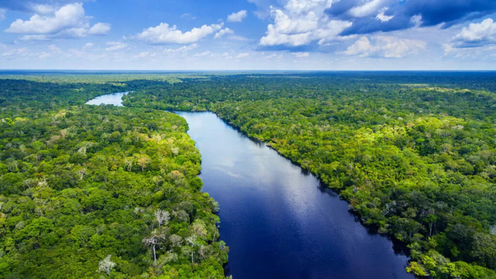 Matéria da Copolândia sobre Amazônia: patrimônio do Brasil e do mundo!